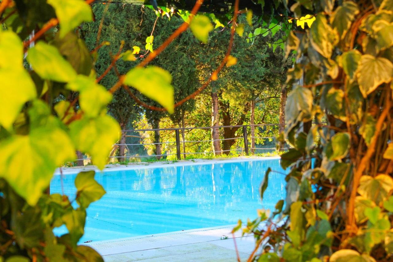 Coimbra Camping & Bungalows 외부 사진